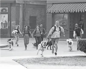  ?? ALI GOLDSTEIN/AMAZON STUDIOS ?? Contestant­s Donna Modafferi and her pup Charlie, from left, Mitra Najibeh Yosri and Bozley, Lucy Riles and Duchess, Daniel Reese and Allister, Kioni “Kentucky” Russell Gallahue and Derby, and Josh White and Snow race toward their goal in Amazon’s new global competitio­n “The Pack.”