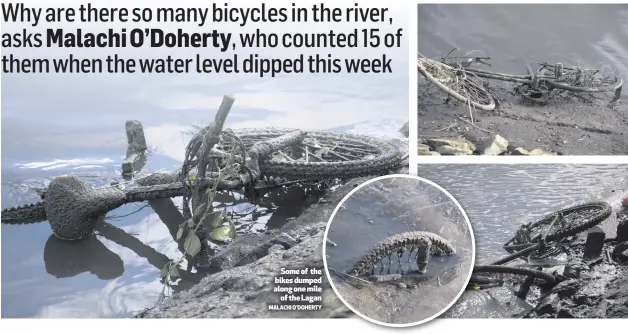  ?? MALACHI O’DOHERTY ?? Some of the bikes dumped along one mile
of the Lagan