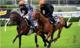  ??  ?? Addeybb (right) takes part in trackwork at Canterbury Park Racecourse in Sydney before winning the Queen Elizabeth Stakes for William Haggas on Saturday. Photograph: Dan Himbrechts/AAP