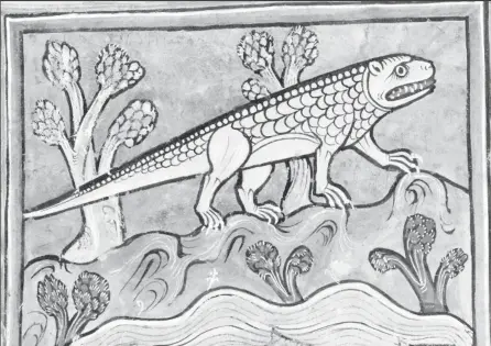  ?? ?? A Mediaeval depiction of a reptile