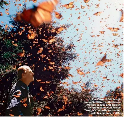  ??  ?? The Duke of Edinburgh among monarch butterflie­s in Mexico in 1988 and (below) his great-grandson Prince George’s butterfly encounter with his parents in 2014