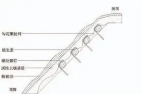  ??  ?? 图 1 生物活性土壤绿化技术­剖面示意图