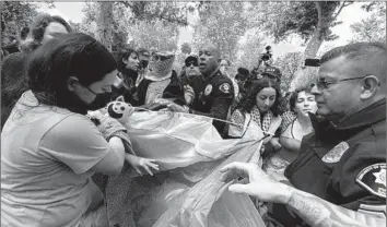  ?? Brian van der Brug Los Angeles Times ?? THE ACLU says that “inviting armed police into a campus protest environmen­t, even a volatile one, can create unacceptab­le risks for all students and staff.” Above, USC safety officers try to confiscate tents last week.