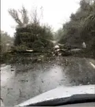  ??  ?? Entre Le Thoronet et Lorgues, les intempérie­s ont causé la chute d’un gros arbre.