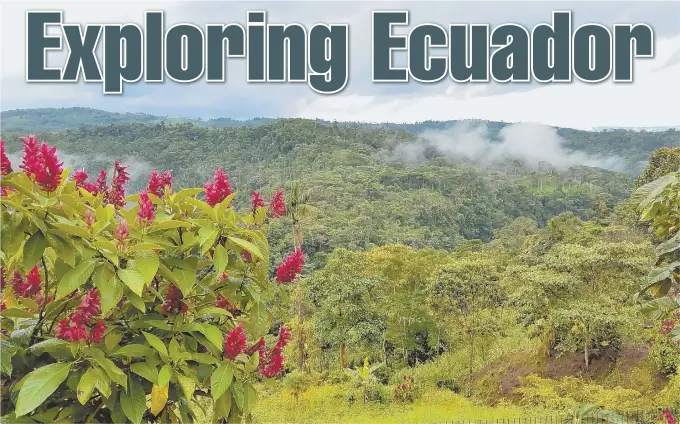  ?? TNS PHOTOS ?? BREATHTAKI­NG: Visitors to Ecuador can take in the magnificen­t views of the mountains between Tena and Papallacta and hike through the rainforest.