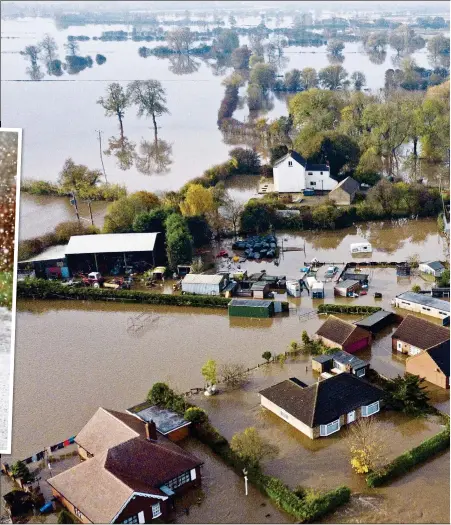  ??  ?? DEVASTATIO­N: The village of Fishlake near Doncaster was swamped by the floodwater­s, with 700 residents forced to leave with only a few belongings and their pets