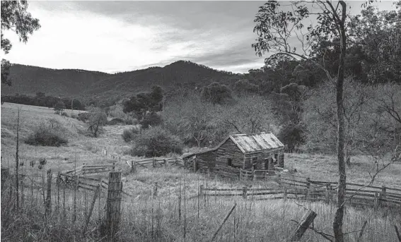  ?? ASANKA BRENDON RATNAYAKE/THE NEW YORK TIMES PHOTOS ?? An old cattle yard in Dargo, Australia. The high country of Australia is a place where visitors can be swallowed up without a sound.
