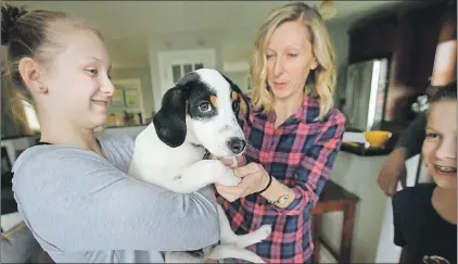  ?? THE ASSOCIATED PRESS ?? Morgan Fredette (left), 13, holds the family dog Roscoe as her mother Kate (centre right) and brother Lucas (right), 11, play with the dog at their home in Waltham, Mass.