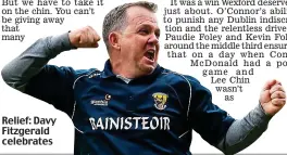  ??  ?? Relief: Davy Fitzgerald celebrates