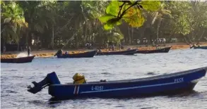  ?? CORTESÍA JOSÉ UGALDE ?? Vista al fondo del sargazo depositado este lunes en un sector de playa Cahuita, en Talamanca de Limón.