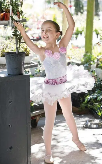  ?? PHOTO: NEV MADSEN ?? BALLET BLOOM: Ballerina Phoebe Mathey, 7, with the new ballerina camellia which was released in the lead-up to the Toowoomba Camellia Show and Garden Expo.