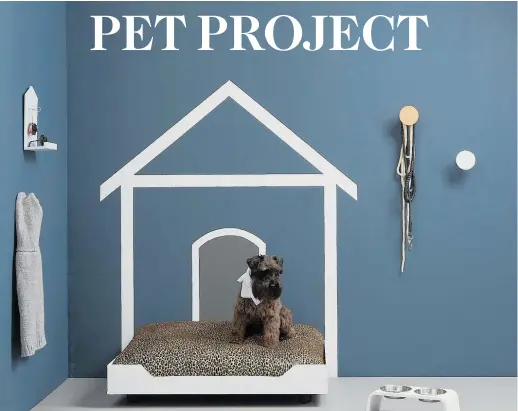  ?? ?? If you have the space, this is a really fun way to give your dog their own bedroom. Project by Greer Clayton, image by Bryce Carleton.