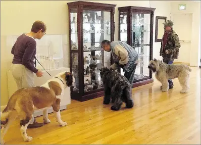  ?? — THE ASSOCIATED PRESS FILES ?? Visitors looking at museum exhibits accompanie­d by their dogs. The museum is filled with dog art and visitors are allowed to bring leashed dogs along on their visits.