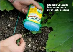  ??  ?? Roundup Gel Wand is an easy-to-use glyphosate product