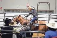  ?? ?? Brady Schaad rides Cee Doc Genuine Jule during the youth calf roping competitio­n Thursday at the All American Quarter Horse Congress.