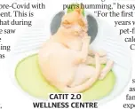  ?? ?? CATIT 2.0 WELLNESS CENTRE