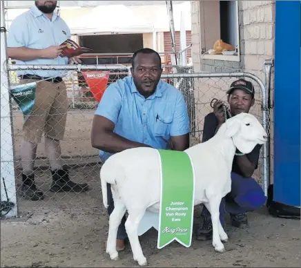  ??  ?? Winning ways... Mbaroro Katjiuanjo with one of his best performing ewes at a show event, as a handler looks on.