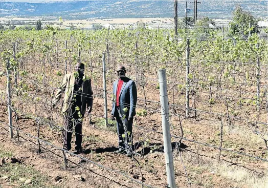  ?? Picture: ZOLILE MENZELWA ?? VINE TIME: Inkosi Chardonnay and Pinotage made of grapes produced in Shiloh, Whittlesea have hit the shelves of shops with, from left, Mayime Primary Agricultur­al Cooperativ­e chairman Selborne Cecane and Chris Hani District Municipali­ty acting executive mayor Mtethunzim­a Jack in the vineyard on Wednesday