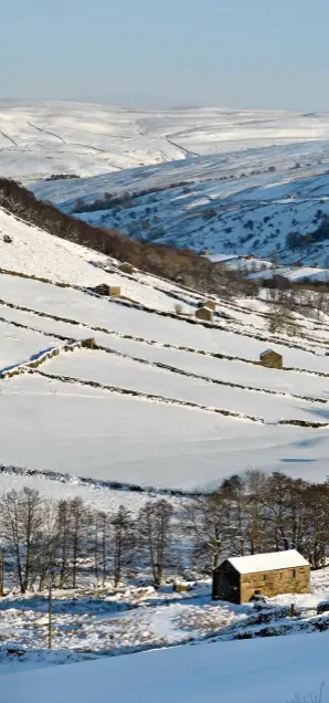  ??  ?? Dotted between the snow-covered slopes of Swaledale, the remote barns present a challenge to farmers tending their livestock in the harshness of winter.