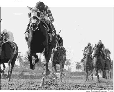  ?? ADAM COGLIANESE/COGLIANESE PHOTOS ?? Curlin’s Approval wins the Princess Rooney in July. She zipped five furlongs in 56.63 on Monday.