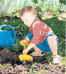  ?? DREAMSTIME ?? Add a quality soil mix to a shade garden, taking care to not cover the root flare at the base of a tree where the tree breathes.