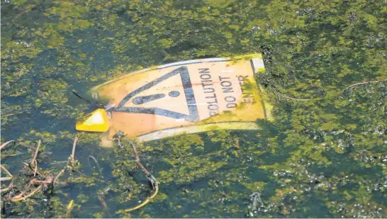  ?? Picture / Getty ?? Many of our waterways are in a dire state and whole ecosystems are being threatened.