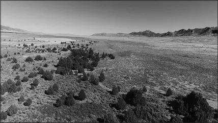  ?? BENJAMIN SPILLMAN / RENO GAZETTE-JOURNAL VIA ASSOCIATED PRESS FILE ?? The Swamp Cedar Natural Area, near Ely in northeaste­rn Nevada, is considered sacred by a number of Great Basin tribes. Native Americans in Nevada are pushing for national monument designatio­n for the remote desert site of an 1859 massacre that today is dotted by groves of cone-bearing evergreens dependent on a fragile groundwate­r supply. Although they’re called swamp cedars locally, the species is the Rocky Mountain juniper. They’re known to the native Shoshone as Bahsahwahb­ee, and the site where they grow was a ceremonial place for tribal people long before the massacres.