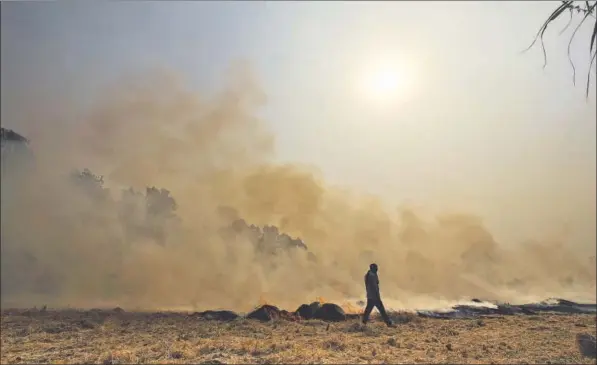  ??  ?? Stubble on a farm in Haryana’s Kurukshetr­a set ablaze after harvest. The smoke affects the lungs, eyes and the nervous system.