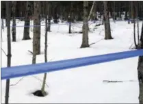  ??  ?? Tubing carries sap collected from maple trees at the University of Vermont’s Proctor Maple Research Center in Underhill, Vt. The center is using a new machine that removes more water from sap than older technology, saving maple syrup producers time and energy boiling sap into syrup.