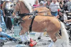  ?? FOTO: ROLAND RAY ?? Die Pferdegesp­anne waren außer Kontrolle geraten.