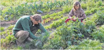  ?? FOTO: M. GEMPP ?? Serena und Jared arbeiten auf ihrem Acker am Rande von Rempertsho­fen bei Kißlegg im Allgäu.