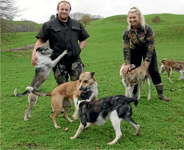  ??  ?? Luke Ross and Bee Bryant with their team of pig dogs, Queen (left), Lady, Ace, Meg and Sas.