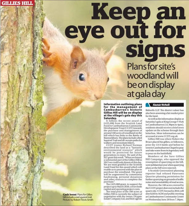  ??  ?? Cash boost Plans for Gillies hill include a red squirrel trail. Picture by Robert Trevis-Smith