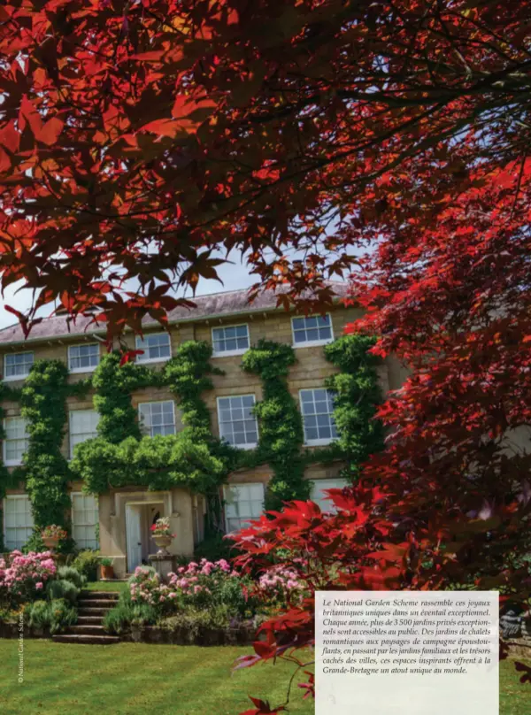  ??  ?? Le National Garden Scheme rassemble ces joyaux britanniqu­es uniques dans un éventail exceptionn­el. Chaque année, plus de 3 500 jardins privés exceptionn­els sont accessible­s au public. Des jardins de chalets romantique­s aux paysages de campagne époustoufl­ants, en passant par les jardins familiaux et les trésors cachés des villes, ces espaces inspirants offrent à la Grande-bretagne un atout unique au monde.