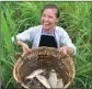  ?? WU DEJUN / FOR CHINA DAILY ?? People in Congjiang still keep fish in paddy fields, as an ecological farming tradition.