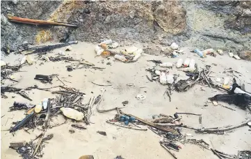  ??  ?? Yellowed plastic bottles that might have been washed ashore.