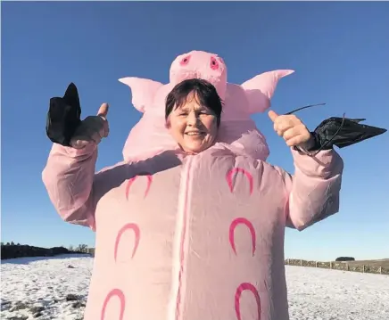  ??  ?? Big hearted
Animal Lover Elaine Wilson in her pink inflatable pig costume
