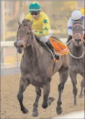  ?? CAVALIERI,
Picture: Candiese Marnewick ?? with Stuart Randolph up, wins the Hollywoodb­ets Bright Future Maiden Plate for trainer M J Odendaal at Hollywoodb­ets Greyville yesterday.