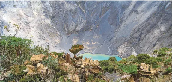  ??  ?? En el interior del parque nacional que lleva su nombre se halla el impresiona­nte volcán Irazú.