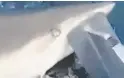  ?? ?? A shark attacks the boat's motor. Picture: 9News
