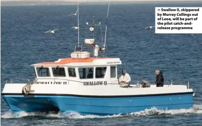  ??  ?? Swallow II, skippered by Murray Collings out of Looe, will be part of the pilot catch-andrelease programme