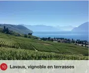  ?? ?? 10
Lavaux, vignoble en terrasses