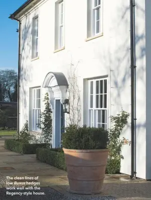  ??  ?? The clean lines of low Buxus hedges work well with the Regency-style house.