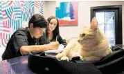  ?? R. Clayton McKee / For the Chronicle ?? A. J. Manlove, 14, works on math problems with the help of TutorVille’s Jess Rogers and Leo, the cat-inresidenc­e.