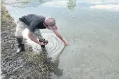  ?? WICHAN CHAROENKIA­TPAKUL ?? A farmer in tambon Pong Ngam in Chiang Rai’s Mae Sai district has a close look at his rice now inundated by water pumped out of Tham Luang cave.