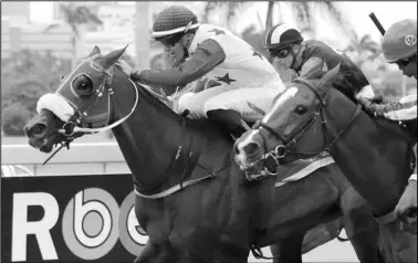  ?? Picture: Candiese Marnewick ?? MADAME EXCESS (far left) runs in the sixth at the Vaal tomorrow. Mpumelelo Mjoka rides for LJ Human.