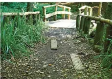  ?? FOTO: LANDESHAUP­TSTADT SAARBRÜCKE­N ?? Die städtische­n Forstleute wollen den Weg vor der Treppe mit Füllmateri­al erneuern. Dann können die beiden Bretter weg.