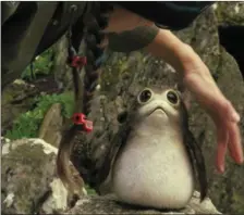  ??  ?? A special effects technician with one of the animatroni­c puffin and seal inspired ‘porgs’ that inhabit Skellig Michael in the film.