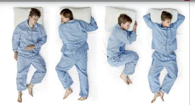  ??  ?? OVER Visse forskere tror, at søvnen trimmer hjernen, mens vi sover.