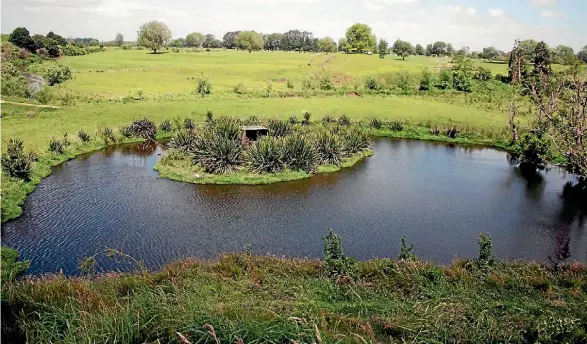  ?? PHOTOS: GERALD PIDDOCK ?? The 2ha wetland created on Don Macky’s dairy farm.